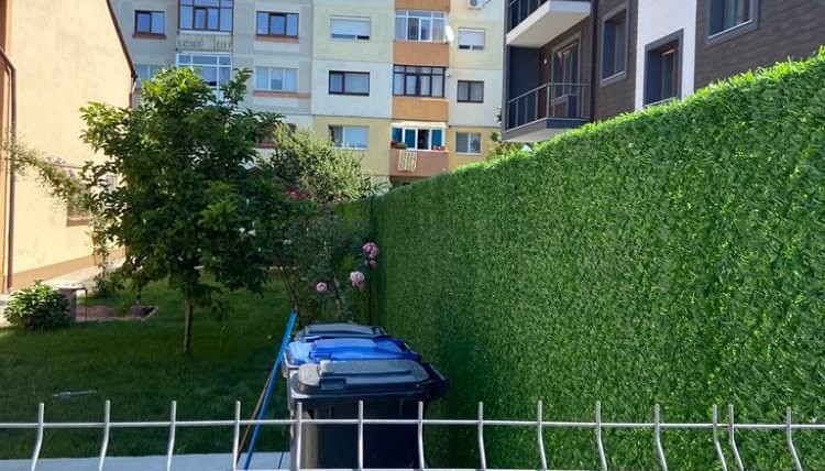 plasa paravan imitatie gard viu montata pe gardul din curte