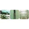 Solar gradina DacEnergy©, profile din otel, folie PE 140g/m2, intrare cu fermoar, 6 ferestre cu plasa de tantari, 2x3m 6m2, rezistenta la UV4, verde, Tip deschidere: Frontala, Culoare: Verde, Latime: 200 cm, Lungime: 300 cm-poza 2-Dacenergy.ro