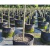 Ghiveci din pasla netesuta DacEnergy©, pentru plante de gradina, legume, flori, ierburi, fructe, plantare, de forma rotunda, cu maner, 12 l, diamentru 25 cm, gri antracit, Diametru: 25 cm-poza 3-Dacenergy.ro
