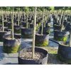 Ghiveci din pasla netesuta DacEnergy©, pentru plante de gradina, legume, flori, ierburi, fructe, plantare, de forma rotunda, cu maner, 37 l, diamentru 40 cm, gri antracit, Diametru: 40 cm-poza 3-Dacenergy.ro