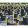 Ghiveci din pasla netesuta DacEnergy©, pentru plante de gradina, legume, flori, ierburi, fructe, plantare, de forma rotunda, cu maner, 25 l, diamentru 34 cm, gri antracit, Diametru: 34 cm-poza 3-Dacenergy.ro