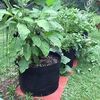 Ghiveci din pasla netesuta DacEnergy©, pentru plante de gradina, legume, flori, ierburi, fructe, plantare, de forma rotunda, cu maner, 37 l, diamentru 40 cm, gri antracit, Diametru: 40 cm-poza 4-Dacenergy.ro