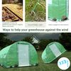 Solar gradina DacEnergy©, tevi din otel, folie PE 140g/m2, 16 ferestre cu plasa de tantari, 8x 3x 2 m, doua usi acces, suprafata totala 24m2, rezistenta la UV4, verde, Tip deschidere: Frontala , Spate, Culoare: Verde, Latime: 300 cm, Lungime: 800 cm-poza 7-Dacenergy.ro