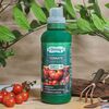 Ingrasamant organic pentru tomate Versay, stimuleaza rodirea, lichid, 1 L-poza 2-Dacenergy.ro