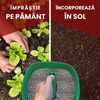 Ingrasamant gazon Organic PlantPlus, stimulare naturala a cresterii, imbunatatirea structurii solului, granule, 6 kg-poza 4-Dacenergy.ro