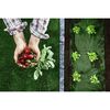 ​Set folie agrotextil de gradina, material polipropilena UV 3%, gramaj 90 g/m², 1, 6 x 50 m, 100 buc de ace, negru si verde-poza 5-Dacenergy.ro