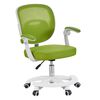 ​Scaun birou copii DacEnergy©, realizat din plasa si plastic, inaltimea reglabila a partii de sezut, suport pentru picioare, cotierele pliabile tapitate, 59 x 50 x 81-91 cm, verde si alb, Culoare: Alb, Verde-Dacenergy.ro
