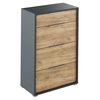 Scrin cu sertare, grafit / stejar artizanal, RIOMA NEW TYP 22-Dacenergy.ro