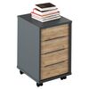 Container, grafit/stejar artisan, RIOMA NEW TYP 14-Dacenergy.ro