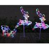 Decor de Craciun DacEnergy©, sanie cu 2 reni, spectacol luminos, ofer un colt magic, 120 de micro LED-uri, cu lumina multicolora, H 80 cm, IP44, interior sau exterior-poza 3-Dacenergy.ro