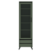 Vitrină, verde smoke/negru, LONGY REG1W2S-Dacenergy.ro