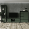 Vitrină, verde smoke/negru, LONGY REG1W2S-poza 4-Dacenergy.ro