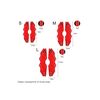 Capac ornament etrier culoare Rosu , marime S  Cod: CP-3-poza 2-Dacenergy.ro