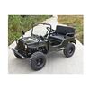 Mini Jeep 125cc 7.5CP cu marsarier 3 viteze off-road pentru copii si adulti Cod: JW1101-125-Dacenergy.ro