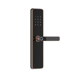 Incuietoare inteligenta DacEnergy©, aplicatie telefon, amprenta, parola, card si cheie, Wifi, Bluetooth, Tuya Smart TT Lock, de inalta securitate, grosimea usii 40-110 mm, negru si bronz, Culoare: Negru, Bronz-Dacenergy.ro