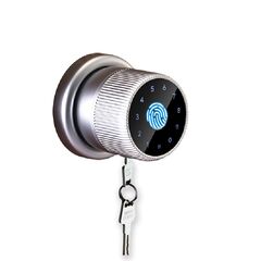 Incuietoare inteligenta DacEnergy©, pentru Acasa / Hotel / Apartament, material aliaj de zinc, deblocare APP / amprenta digitala / cod / card RFID / NFC / cheie, pentru usa din lemn / metal, culoare argintiu-Dacenergy.ro