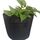 Ghiveci din pasla netesuta DacEnergy©, pentru plante de gradina, legume, flori, ierburi, fructe, plantare, de forma rotunda, cu maner, 12 l, diamentru 25 cm, gri antracit, Diametru: 25 cm-Dacenergy.ro