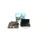 Monitor retractabil marsarier 4,3" 12V Cod :433-Dacenergy.ro
