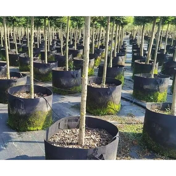 Ghiveci din pasla netesuta DacEnergy©, pentru plante de gradina, legume, flori, ierburi, fructe, plantare, de forma rotunda, cu maner, 25 l, diamentru 34 cm, gri antracit, Diametru: 34 cm-poza 3-Dacenergy.ro