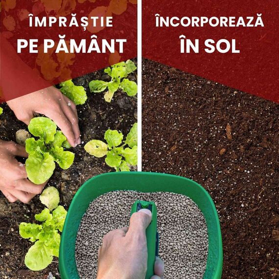 Ingrasamant gazon Organic PlantPlus, stimulare naturala a cresterii, imbunatatirea structurii solului, granule, 6 kg-poza 4-Dacenergy.ro