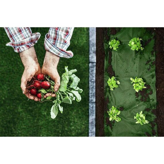 ​Set folie agrotextil de gradina, material polipropilena UV 3%, gramaj 90 g/m², 1, 6 x 50 m, 100 buc de ace, negru si verde-poza 5-Dacenergy.ro