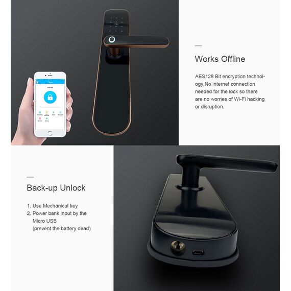 Incuietoare inteligenta DacEnergy©, pentru Acasa, Apartament, Airbnb, Vila, deblocare Fingerpint, Aplicatie TTLock, Cod, Card RFID, Cheie, negru/auriu, Culoare: Negru, Auriu-poza 10-Dacenergy.ro