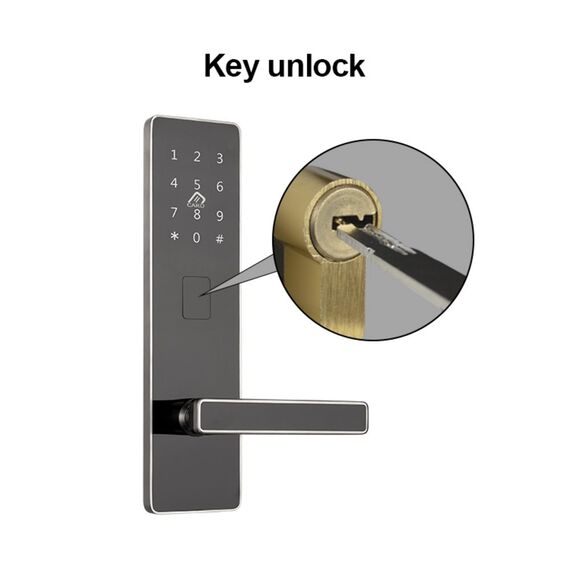 Incuietoare inteligenta DacEnergy©,  pentru hotel, apartament, motel, deblocare Aplicatie TTLock , TTHotel ,  Card RFID, Cheie, culoare negru-argintiu, Culoare: Negru, Argintiu-poza 15-Dacenergy.ro