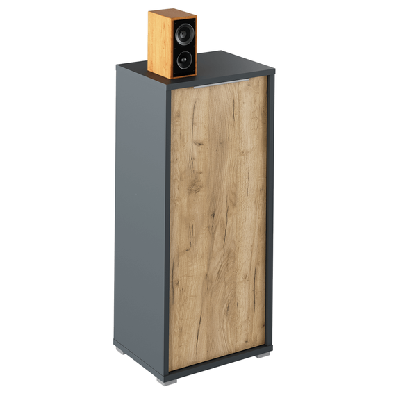 Dulap, grafit/stejar artisan, RIOMA NEW TYP 10-Dacenergy.ro