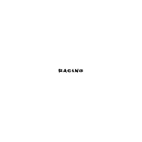 Abtibild parasolar "Racing" parbriz sau luneta  diverse culori Cod: DZ-PRS-RA-poza 2-Dacenergy.ro