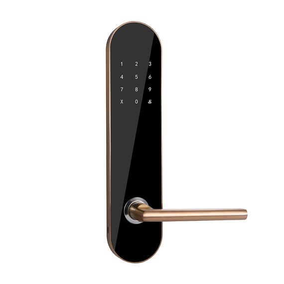 Incuietoare inteligenta DacEnergy©, pentru hotel, apartament, motel, material otel inoxidabil, deblocare Aplicatie TTLock / TTHotel / cod / card RFID / cheie, pentru usa din lemn, negru/auriu-Dacenergy.ro