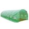 Solar gradina DacEnergy©, tevi din otel, folie PE 140g/m2, 16 ferestre cu plasa de tantari, 8x 3x 2 m, doua usi acces, suprafata totala 24m2, rezistenta la UV4, verde, Tip deschidere: Frontala , Spate, Culoare: Verde, Latime: 300 cm, Lungime: 800 cm-Dacenergy.ro