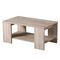 Masuta cafea DacEnergy©, material PAL melaminat, design simplu, doua blaturi, forma dreptunghiulara, finisaj stejar gri, dimensiuni  90.5 x 50.5 x 41.5 cm, 1C, Culoare: Stejar gri-Dacenergy.ro